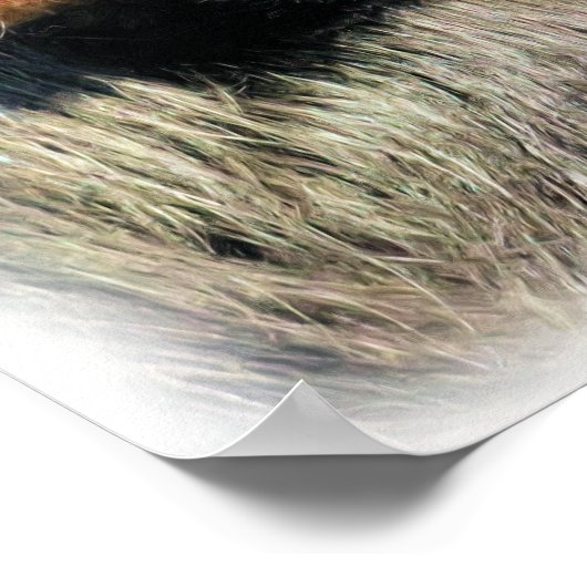SPIDER MONKEY POSTER (Ecke)