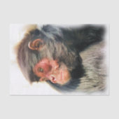 SPIDER MONKEY SEIDENPAPIER (Vorderseite)