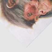 SPIDER MONKEY SEIDENPAPIER (Ausschnitt)