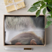 SPIDER MONKEY SEIDENPAPIER (Geschenk)