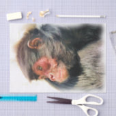 SPIDER MONKEY SEIDENPAPIER (Handwerk)