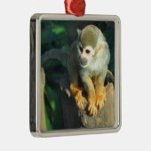 Spider Monkey Silbernes Ornament (Rechts)