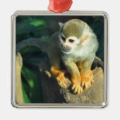 Spider Monkey Silbernes Ornament (Vorne)