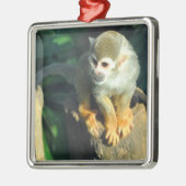 Spider Monkey Silbernes Ornament (Links)