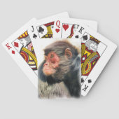 SPIDER MONKEY SPIELKARTEN (Rückseite)