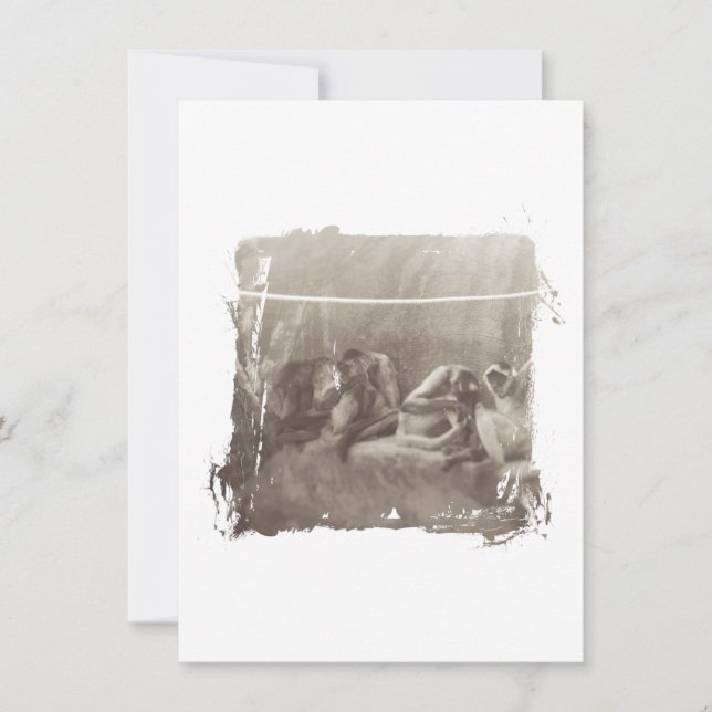 Spider Monkeys (Vorderseite)