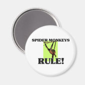 SPIDER MONKEYS Regel! Magnet (Vorderseite/Rückseite)