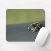 Spider Mousepad (Mit Mouse)