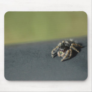 Spider Mousepad