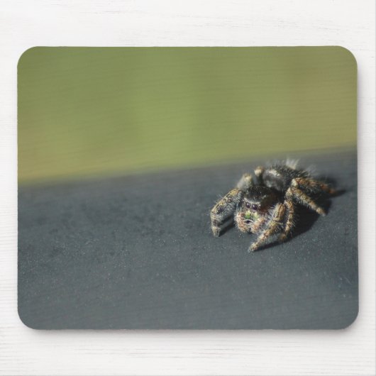 Spider Mousepad (Vorne)