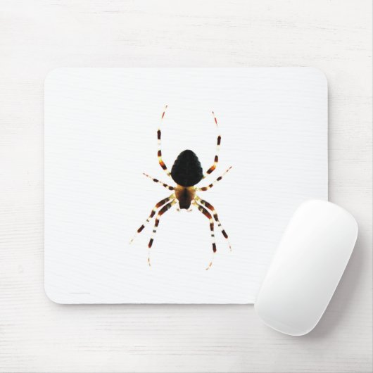 Spider mpcna mousepad (Mit Mouse)