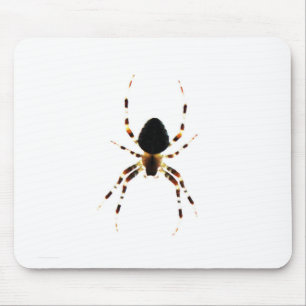 Spider mpcna mousepad