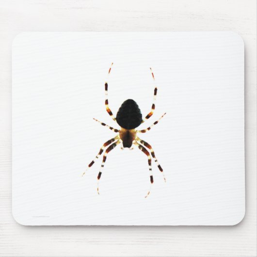 Spider mpcnm mousepad (Vorne)