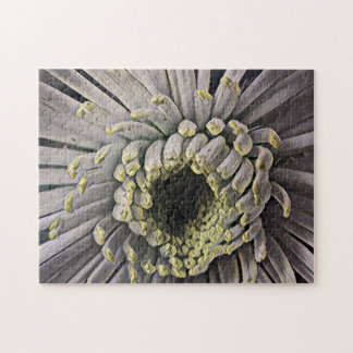 Spider Mum Garden Foto Art Puzzle