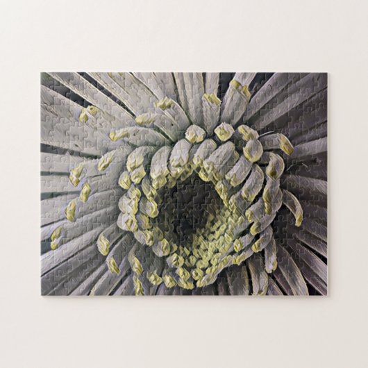 Spider Mum Garden Foto Art Puzzle (Horizontal)