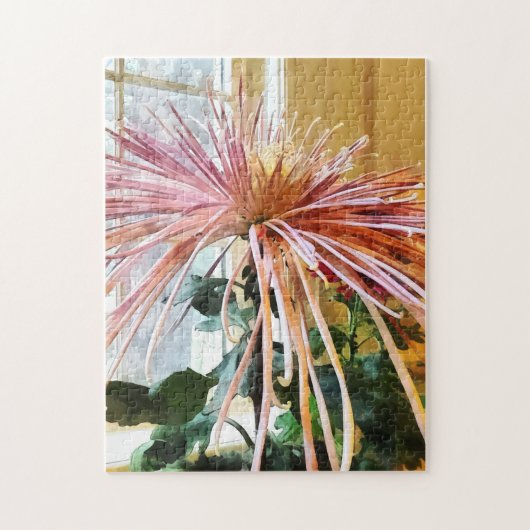 Spider Mum Pink Splendor Puzzle (Vertikal)
