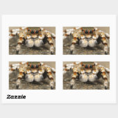 Spider Nature Animals Wildinsekten Rechteckiger Aufkleber (Blatt)