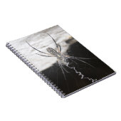 Spider Notizblock (Rechte Seite)