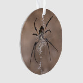 Spider Ornament (Vorderseite)