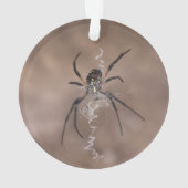 Spider Ornament (Rückseite)