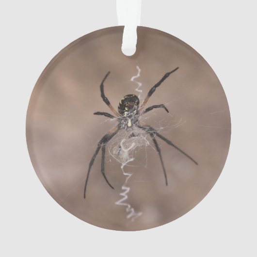 Spider Ornament (Rückseite)