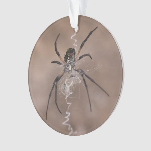 Spider Ornament (Vorderseite)