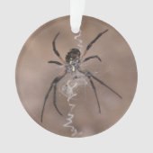 Spider Ornament (Vorderseite)