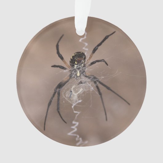 Spider Ornament (Vorderseite)