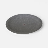 Spider Paper Teller (Schrägansicht)