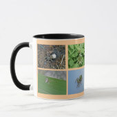 Spider Patches Tasse (Links)