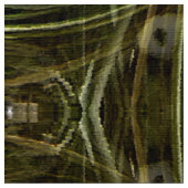 Spider Pflanze...... Stoff (Nahaufnahme)