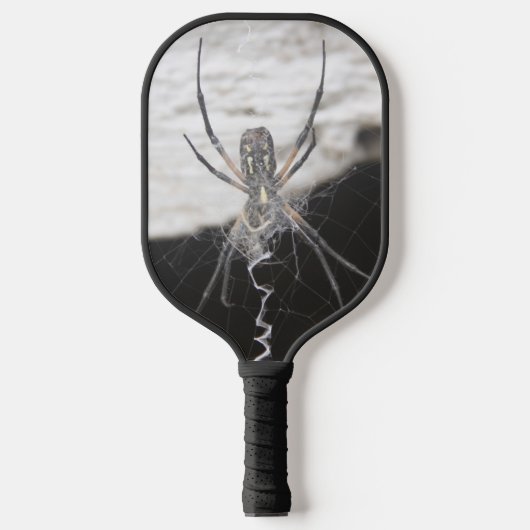Spider Pickleball Schläger (Vorderseite)