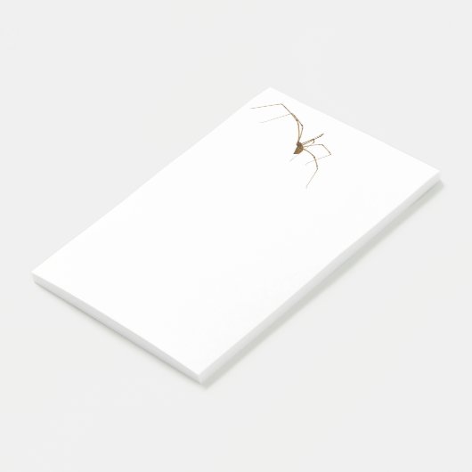 Spider Post-it Klebezettel (angewinkelt)