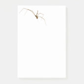 Spider Post-it Klebezettel (Vorderseite)