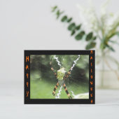 Spider Postcard Postkarte (Stehend Vorderseite)