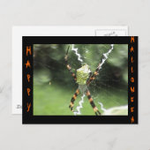 Spider Postcard Postkarte (Vorne/Hinten)