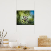 Spider Poster (Küche)