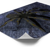 Spider Poster (Ecke)