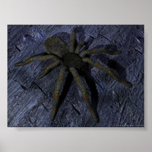 Spider Poster