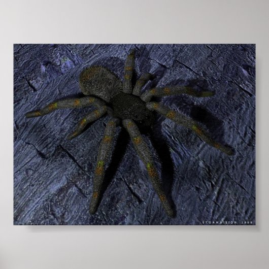 Spider Poster (Vorne)