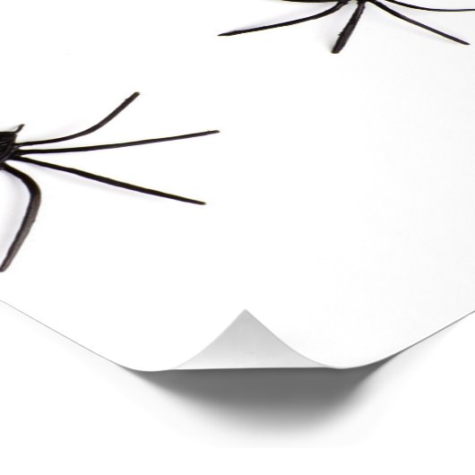 Spider Poster (Ecke)