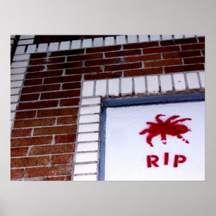 Spider Poster
