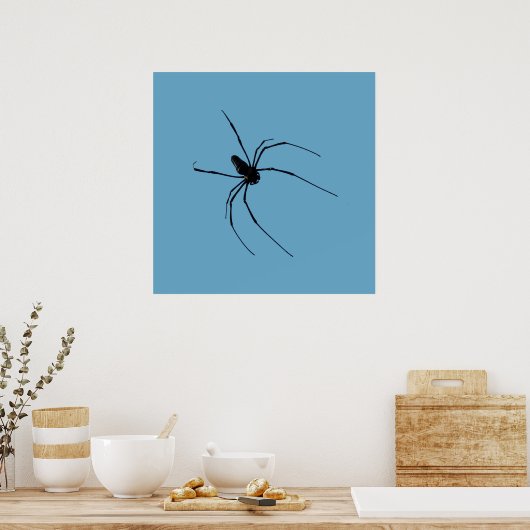 Spider Poster (Küche)