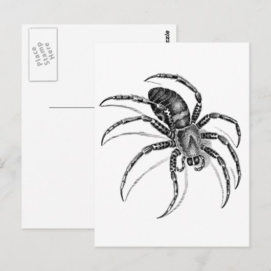 Spider Postkarte (Vorne/Hinten)