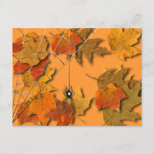 Spider Postkarte