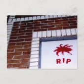 Spider Postkarte (Vorderseite)