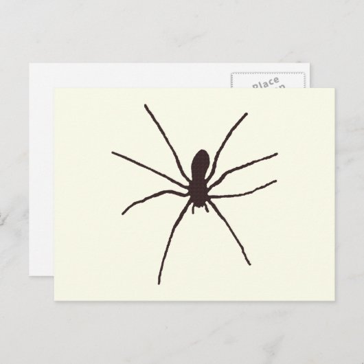 Spider Postkarte (Vorne/Hinten)