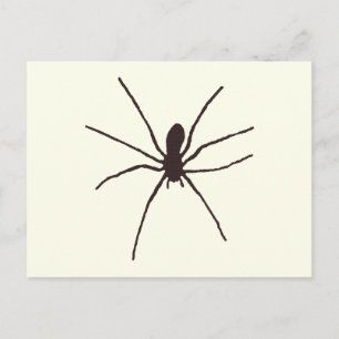 Spider Postkarte
