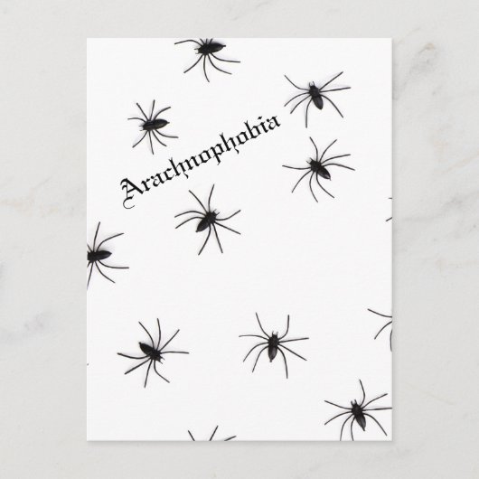 Spider Postkarte (Vorderseite)