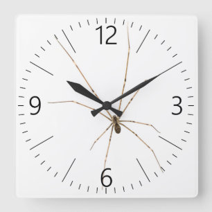 Spider Quadratische Wanduhr